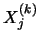 $X_{j}^{(k)}$
