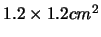 $1.2\times1.2 cm^{2}$
