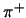 $\pi^{+}$