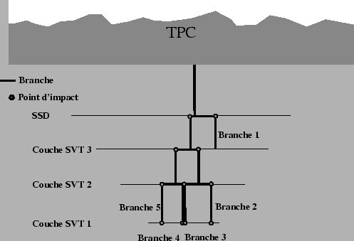 \resizebox* {0.8\textwidth}{!}{\includegraphics{plotTrack/Branche.eps}}
