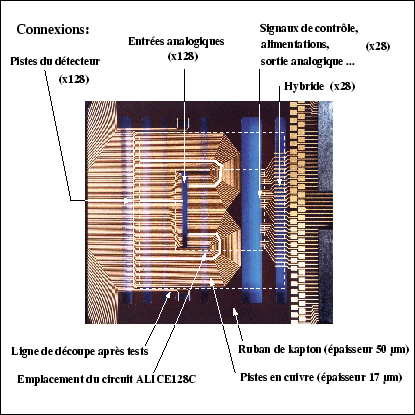 \begin{figure}
\centering\includegraphics[width=9.2cm,height=9.2cm,clip=true,draft=false]
{/home/suire/xfigure/descriptionRuban.eps}
\end{figure}