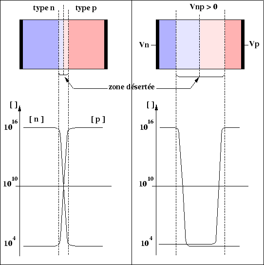 \begin{figure}
\centering\includegraphics[width=12cm,height=12cm,clip=true,draft=false]
{/home/suire/these/xfigure/Ssd/depletion.eps} \end{figure}