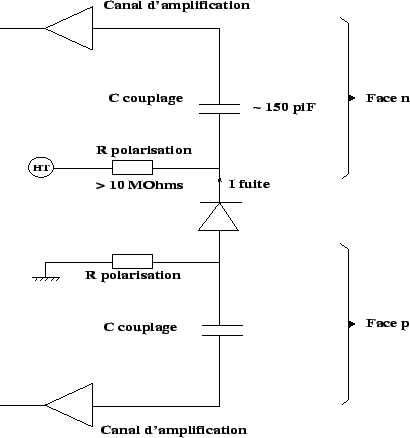 \includegraphics[width=9.5cm,height=10cm,clip=true,draft=false]
{/home/suire/these/xfigure/Ssd/electrical1.eps}