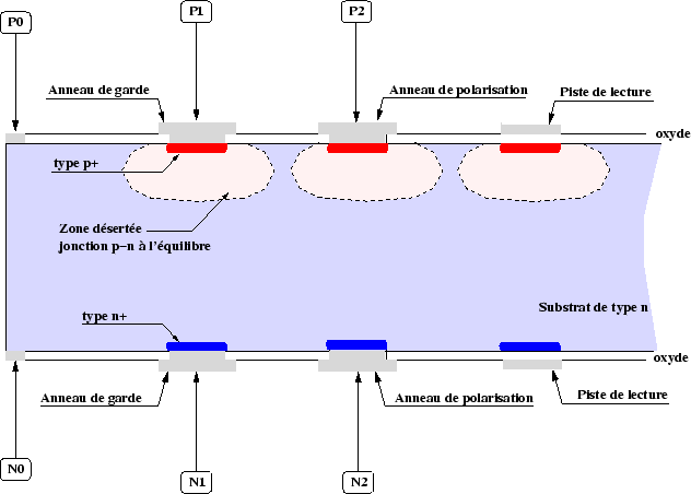 \begin{figure}
\centering\includegraphics[width=14cm,height=10cm,clip=true,draf...
...
{/home/suire/these/xfigure/Production/structurePolarisation.eps} \end{figure}