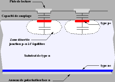 \epsfig{file=/home/suire/these/xfigure/Production/capaStripMeas.eps,height=6cm}