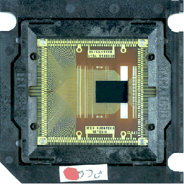 \begin{figure}
\includegraphics[width=8cm,height=8cm,clip=true,draft=false]
{/rawalice3/Photos/Dia1.eps} \end{figure}
