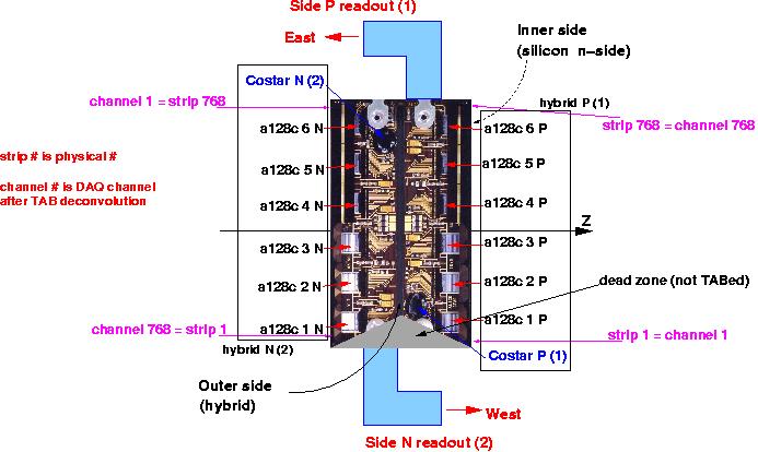 chips numerotation