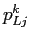 $ p^{k}_{Lj}$