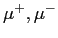 $ \mu^{+},\mu^{-}$