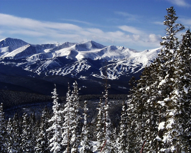 Breck