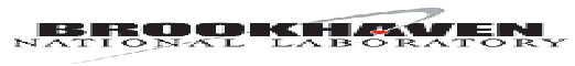 Brookhaven Logo